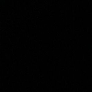 Meet your Posher, Sophie